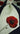 Close up napkin with red Poppy on a navy tablecloth.